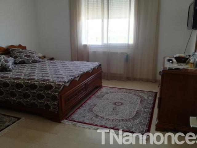 Appartement location