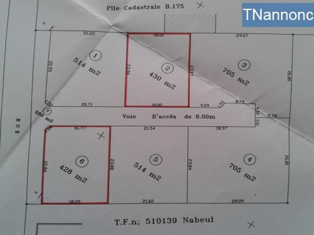 Terrain location
