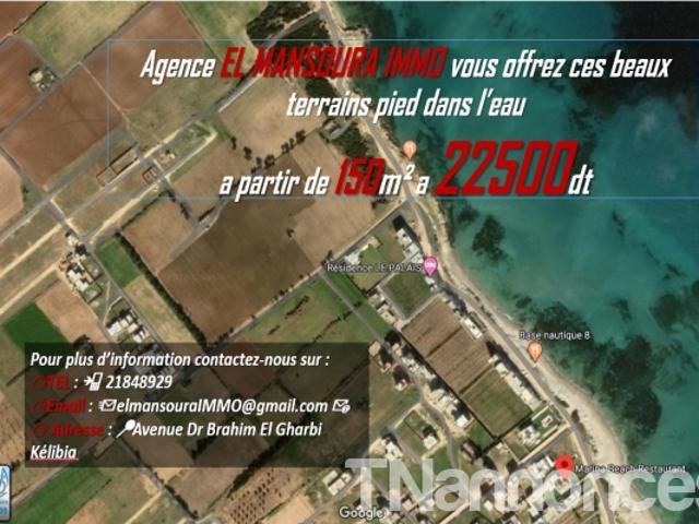 Terrain vente