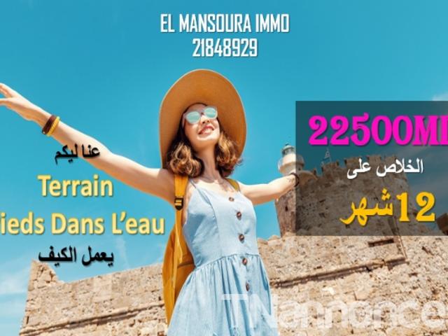 Terrain vente