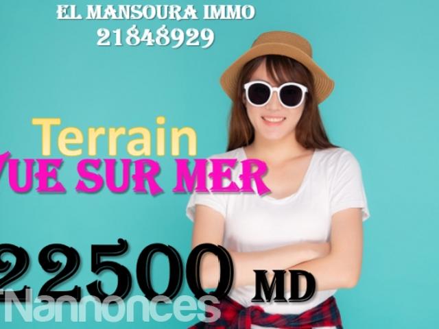 Terrain vente