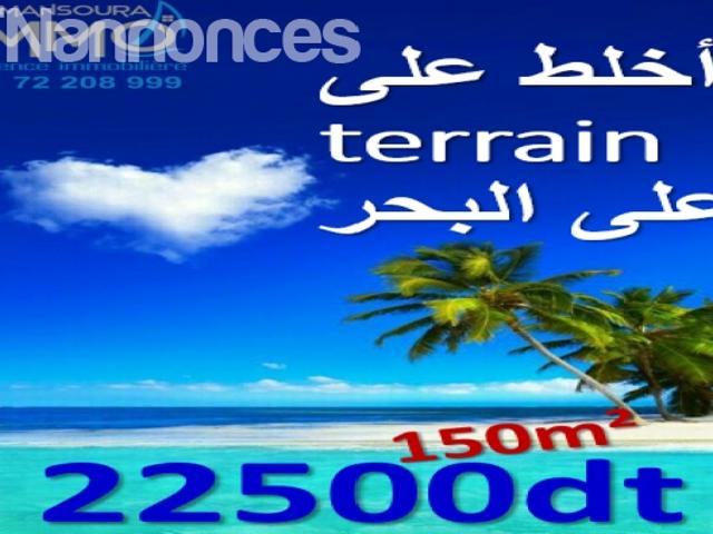 Terrain vente