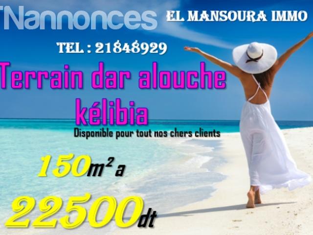 Terrain vente