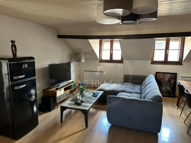 Wohnung mieten in Carouge (GE)