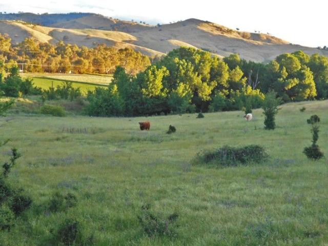 Cottage for sale in Gundagai, New South Wales