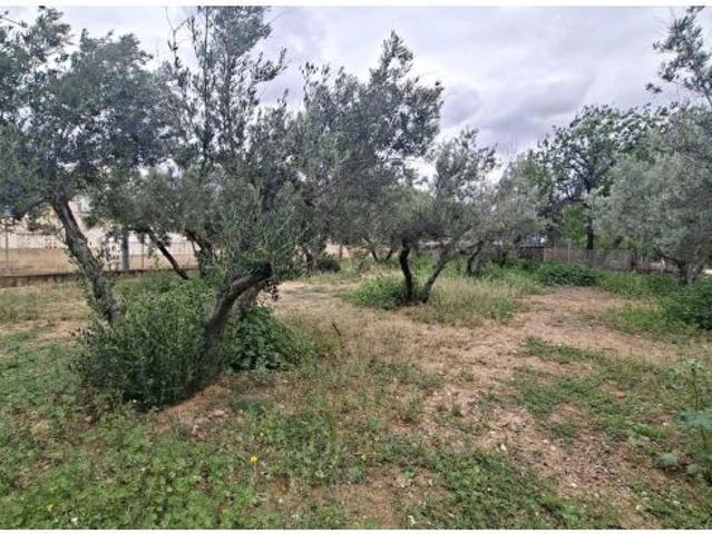 Local Comercial en venta en Urbanització Rambla del Rollet, l'Alacantí