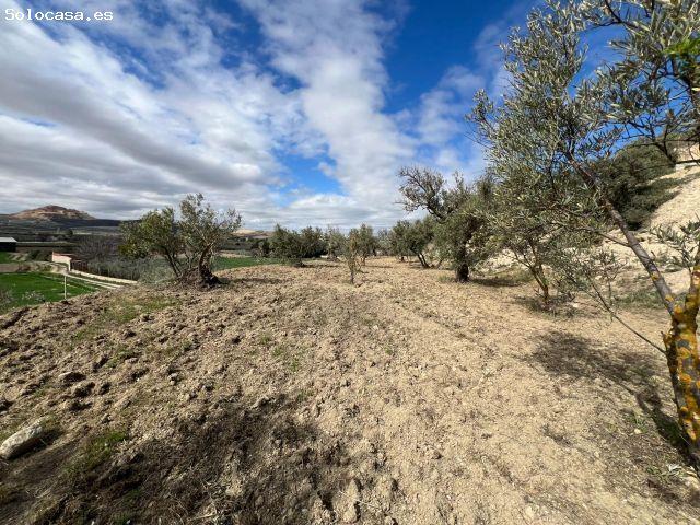 Local Comercial en venta en Alhendín, Andalucía