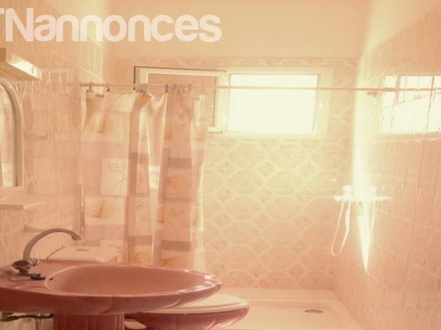 Appartement location