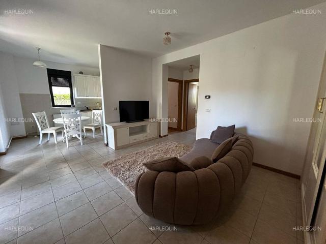 Apartament închirieri în Brad, Hunedoara