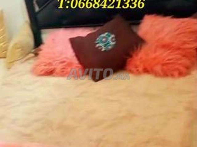 Appartement location