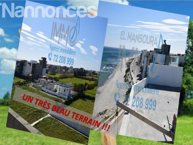Terrain vente