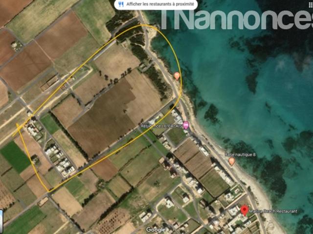 Terrain location