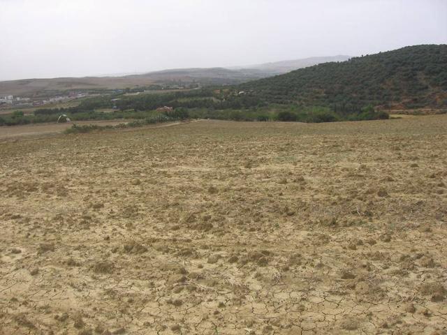 Terrain vente à Bizerte Nord