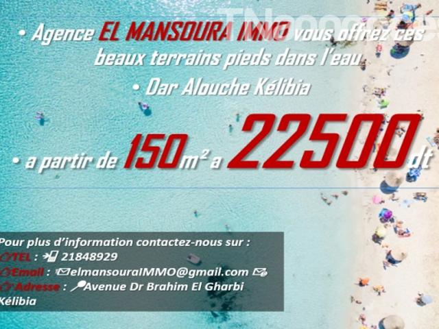 Terrain vente