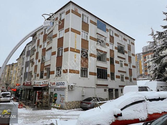 Tokat Merkez, Tokat içerisinde kiralık mülk