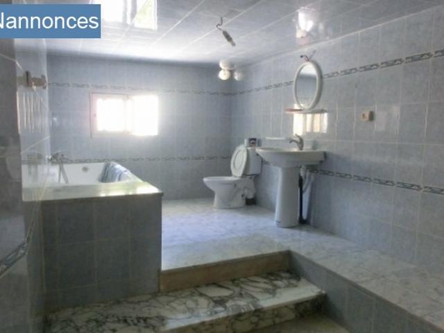Appartement location