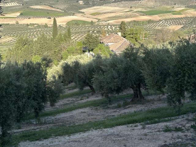Casa Rural en venta en Comarca de Loja, Andalucía