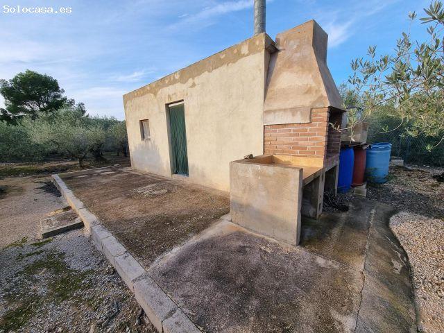 Local Comercial en venta en Baix Ebre, Catalunya