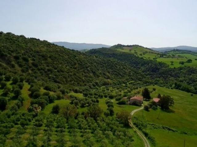 Terreno in vendita a Cinigiano, Toscana