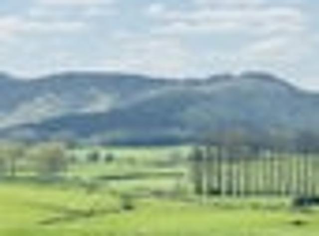 Land for sale in Waikato