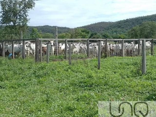 Sítio e chácara venda em Região Geográfica Imediata de Unaí, Região Integrada de Desenvolvimento do Distrito Federal e Entorno