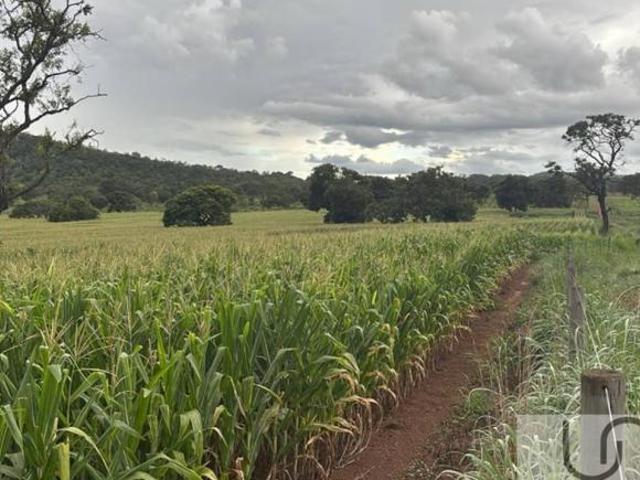 Sítio e chácara venda em Região Geográfica Imediata de Unaí, Região Integrada de Desenvolvimento do Distrito Federal e Entorno