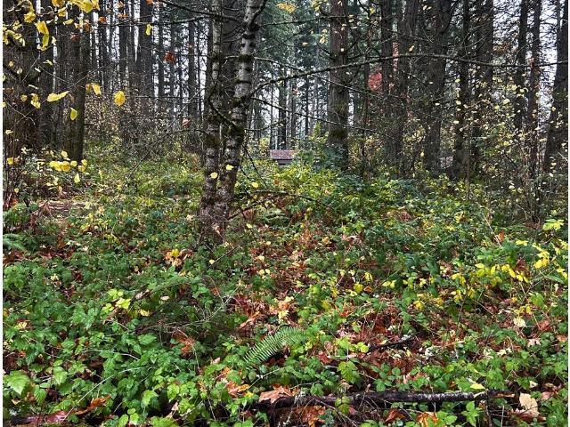 Land for sale in Corvallis, Benton County