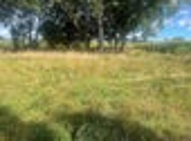 Land for sale in Reporoa, Waikato