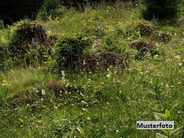 Grundstück kaufen in Mürzzuschlag, Steiermark
