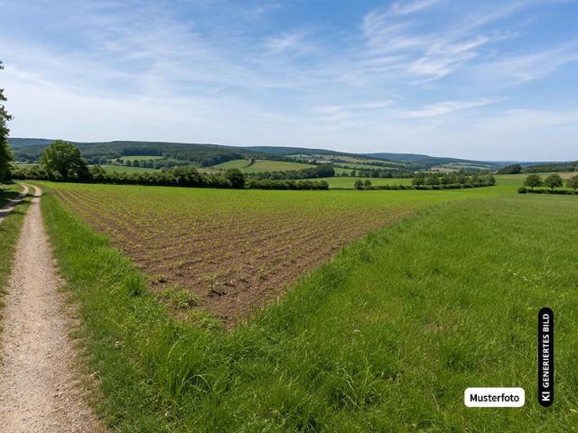 Landwirtschaft kaufen in Honsel, Lüdenscheid