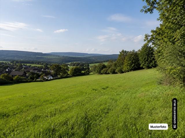 Landwirtschaft kaufen in Tiefenort, Bad Salzungen