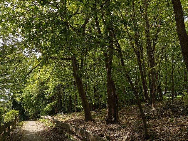 Erdgeschosswohnung kaufen in Stromberg, Landkreis Bad Kreuznach