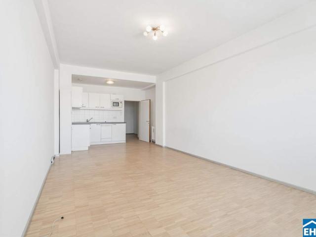 Wohnung kaufen in KG Innere Stadt, Wien