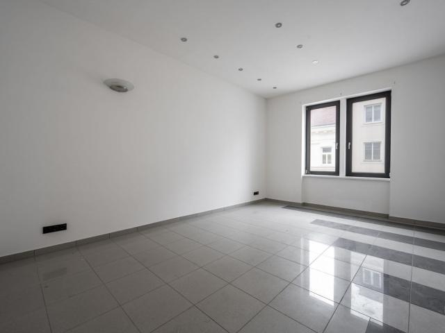 Apartment kaufen in KG Innere Stadt, Wien