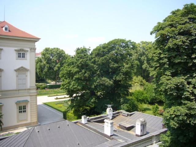 Apartment mieten in KG Alsergrund, Wien