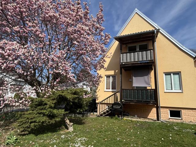 Apartment mieten in Feldbach, Steiermark
