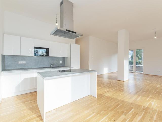 Apartment mieten in KG Innere Stadt, Wien