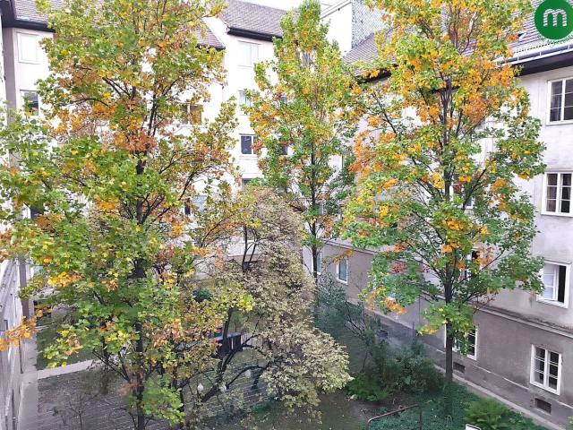 Apartment mieten in KG Innere Stadt, Wien
