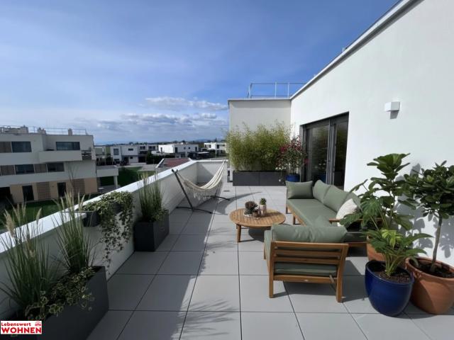 Apartment mieten in Oberwaltersdorf, Niederösterreich