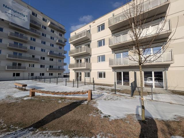 Wohnung mieten in Donaustadt, Wien