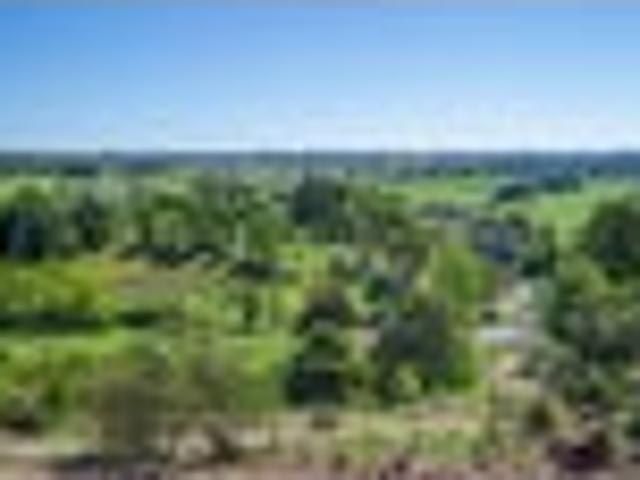 Land for sale in Horowhenua District