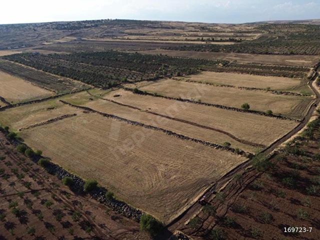 Dölek, Kilis Merkez içerisinde satılık Arsa