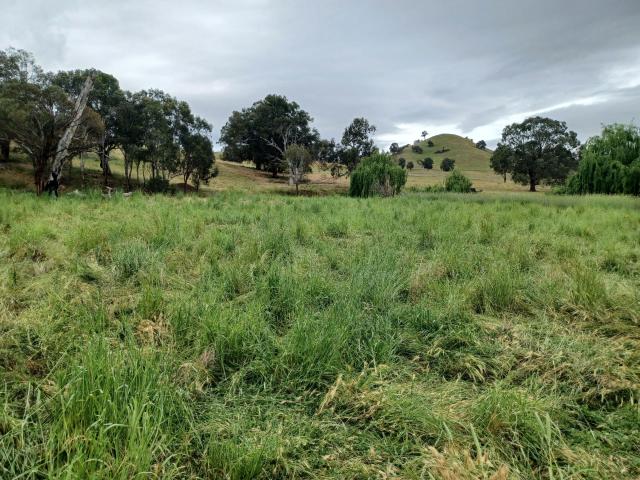 Property for sale in Belfrayden, New South Wales