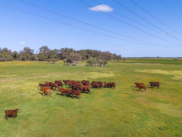 Cottage for sale in Gingin, Western Australia