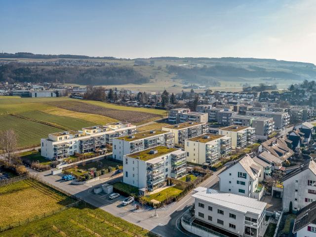 Immobilie kaufen in Stetten (AG), Aargau