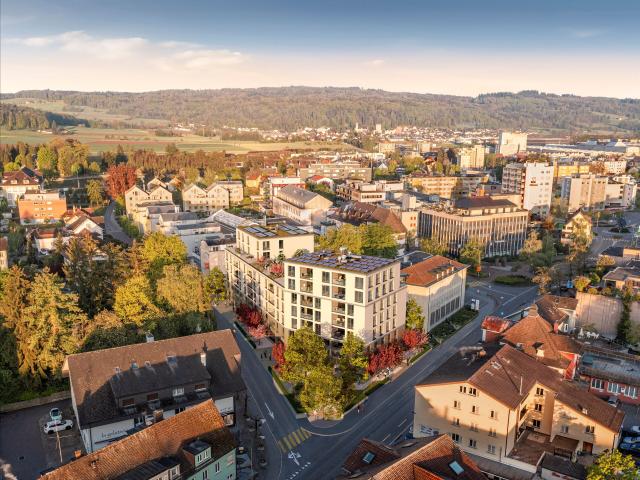 Immobilie kaufen in Wohlen (AG), Aargau