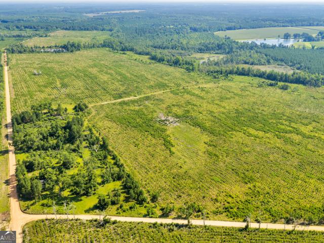Land for sale in Swainsboro, Georgia