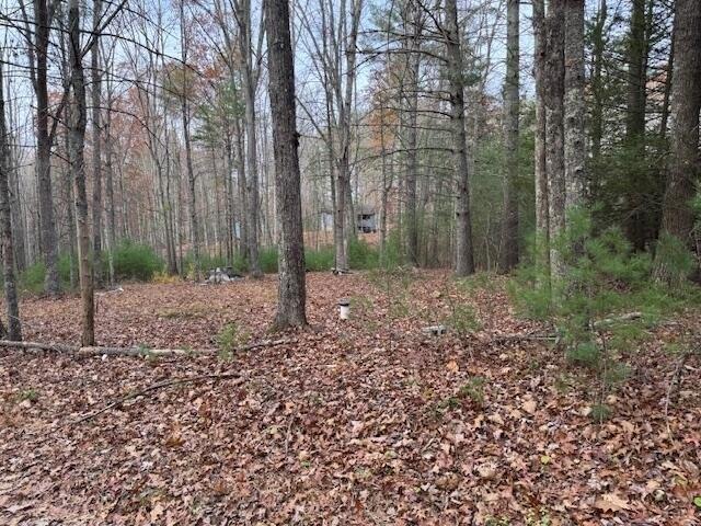 Land for sale in Gap Mills, West Virginia