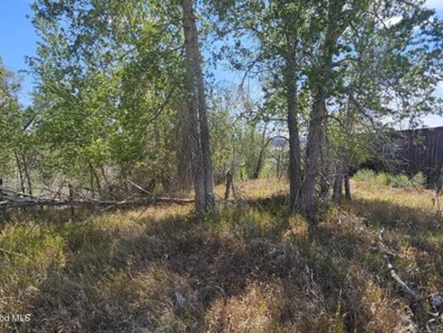 Land for sale in Montrose, Colorado