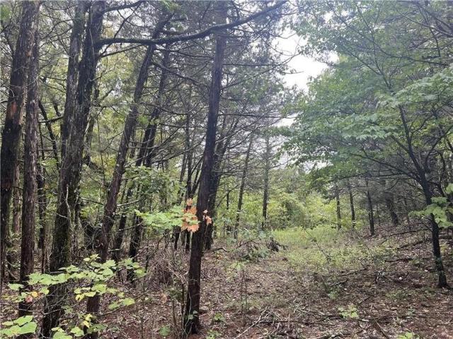 Land for sale in Harrison